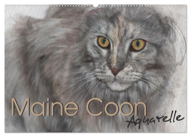 Maine Coon Aquarelle (Wandkalender 2025 DIN A2 quer), CALVENDO Monatskalender