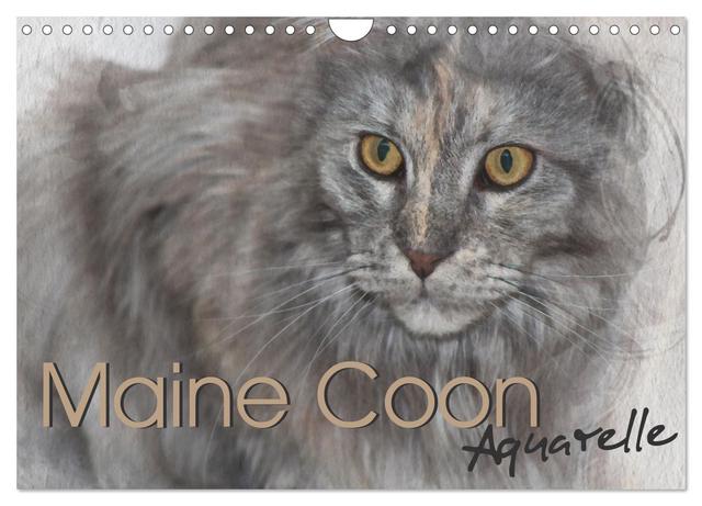 Maine Coon Aquarelle (Wandkalender 2025 DIN A4 quer), CALVENDO Monatskalender