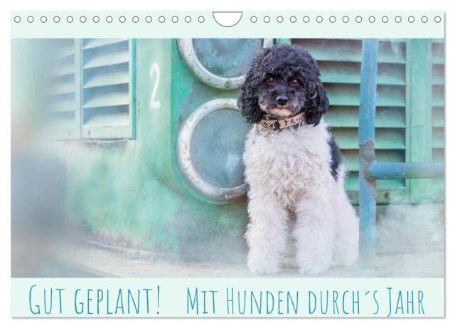 Gut geplant! Mit Hunden durch´s Jahr (Wandkalender 2025 DIN A4 quer), CALVENDO Monatskalender