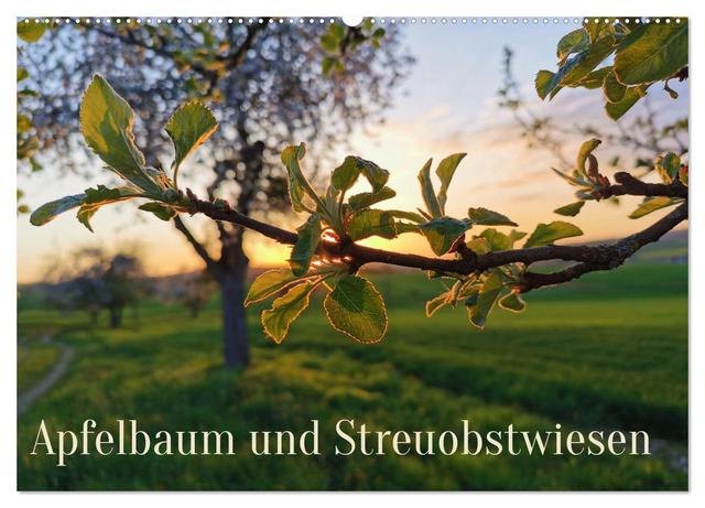 Apfelbaum und Streuobstwiesen (Wandkalender 2025 DIN A2 quer), CALVENDO Monatskalender