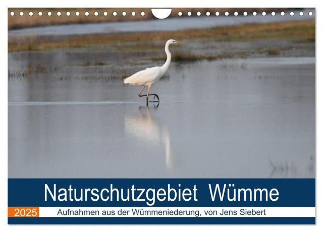 Naturschutzgebiet Wümme (Wandkalender 2025 DIN A4 quer), CALVENDO Monatskalender
