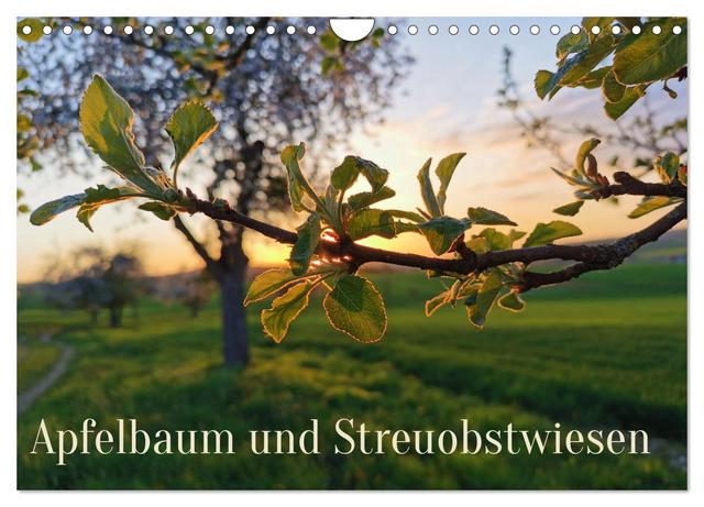 Apfelbaum und Streuobstwiesen (Wandkalender 2025 DIN A4 quer), CALVENDO Monatskalender