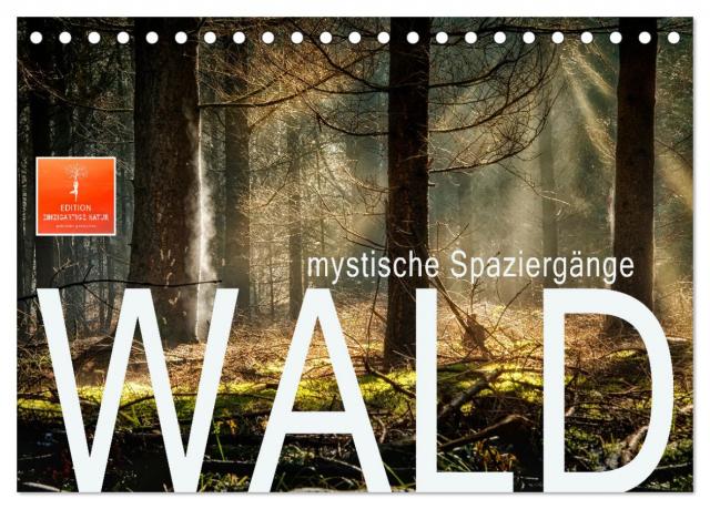 Wald - mystische Spaziergänge (Tischkalender 2025 DIN A5 quer), CALVENDO Monatskalender