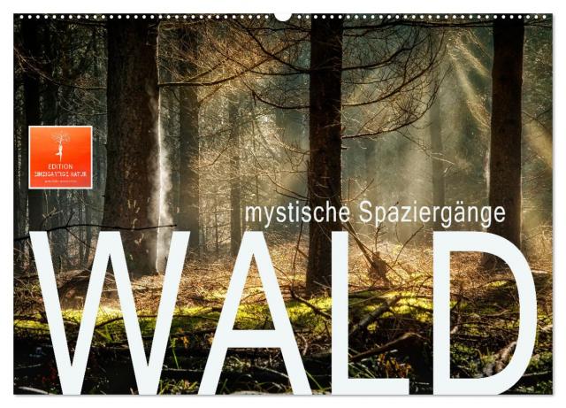 Wald - mystische Spaziergänge (Wandkalender 2025 DIN A2 quer), CALVENDO Monatskalender