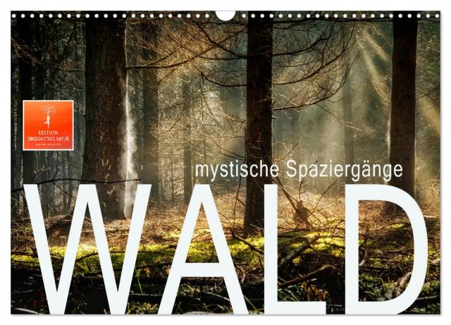 Wald - mystische Spaziergänge (Wandkalender 2025 DIN A3 quer), CALVENDO Monatskalender