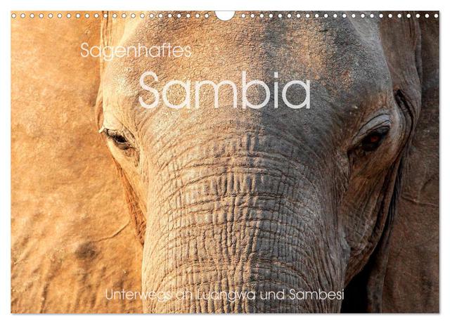 Sagenhaftes Sambia - Unterwegs an Luangwa und Sambesi (Wandkalender 2025 DIN A3 quer), CALVENDO Monatskalender