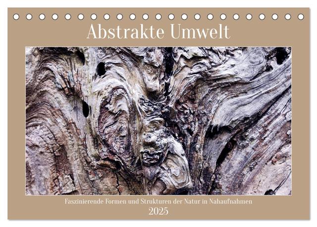 Abstrakte Umwelt (Tischkalender 2025 DIN A5 quer), CALVENDO Monatskalender