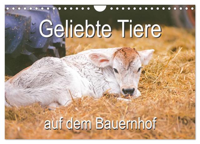 Geliebte Tiere auf dem Bauernhof (Wandkalender 2025 DIN A4 quer), CALVENDO Monatskalender