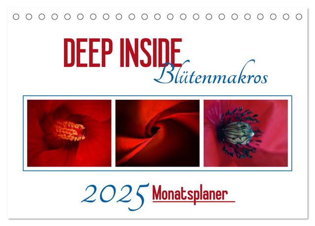 DEEP INSIDE - Blütenmakros als Monatsplaner (Tischkalender 2025 DIN A5 quer), CALVENDO Monatskalender