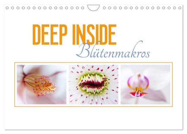 DEEP INSIDE - Blütenmakros (Wandkalender 2025 DIN A4 quer), CALVENDO Monatskalender