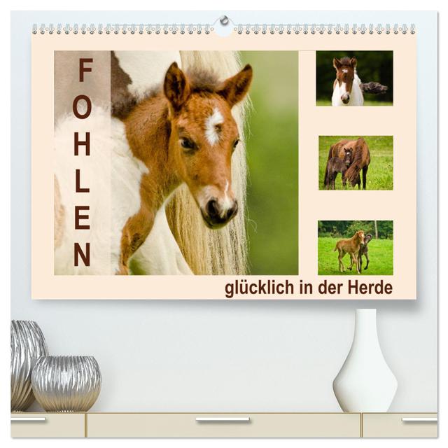 Fohlen, glücklich in der Herde (hochwertiger Premium Wandkalender 2025 DIN A2 quer), Kunstdruck in Hochglanz