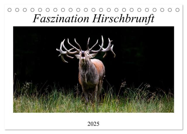 Faszination Hirschbrunft (Tischkalender 2025 DIN A5 quer), CALVENDO Monatskalender