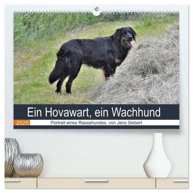 Ein Hovawart, ein Wachhund (hochwertiger Premium Wandkalender 2025 DIN A2 quer), Kunstdruck in Hochglanz