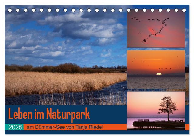 Leben am Naturpark um den Dümmer See (Tischkalender 2025 DIN A5 quer), CALVENDO Monatskalender
