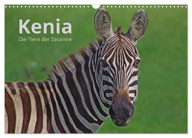 Kenia - Die Tiere der Savanne (Wandkalender 2025 DIN A3 quer), CALVENDO Monatskalender