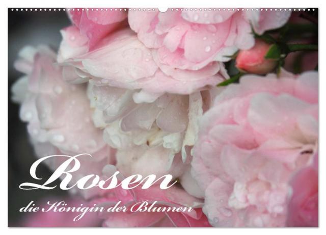 Rosen, die Königin der Blumen (Wandkalender 2025 DIN A2 quer), CALVENDO Monatskalender