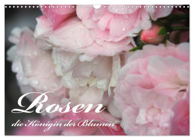 Rosen, die Königin der Blumen (Wandkalender 2025 DIN A3 quer), CALVENDO Monatskalender