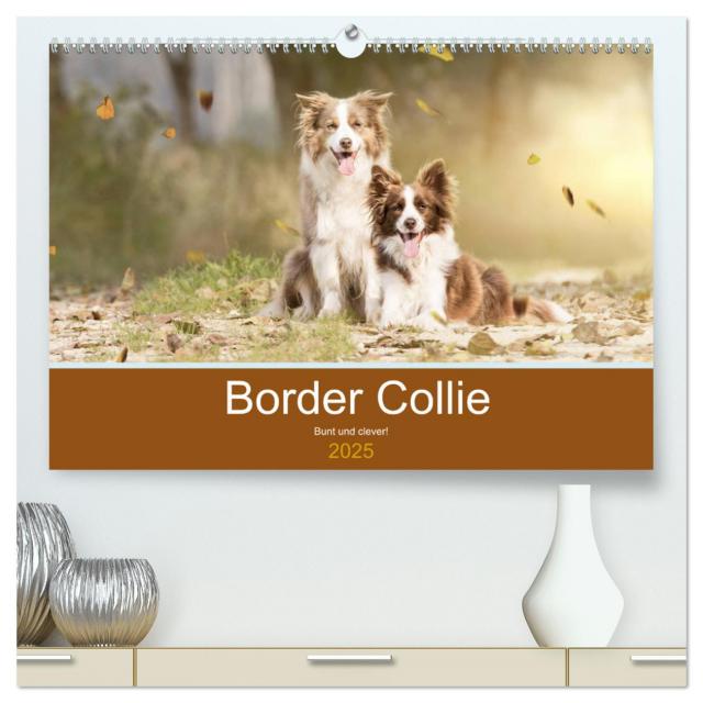 Border Collie - Bunt und clever! (hochwertiger Premium Wandkalender 2025 DIN A2 quer), Kunstdruck in Hochglanz