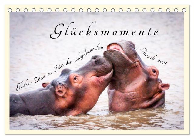 Glücksmomente Glücks-Zitate zu Fotos der großartigen südafrikanischen Tierwelt (Tischkalender 2025 DIN A5 quer), CALVENDO Monatskalender