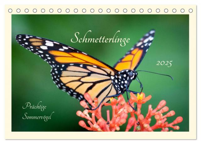 Wunderwelt der Schmetterlinge 2025 Prächtige Sommervögel (Tischkalender 2025 DIN A5 quer), CALVENDO Monatskalender