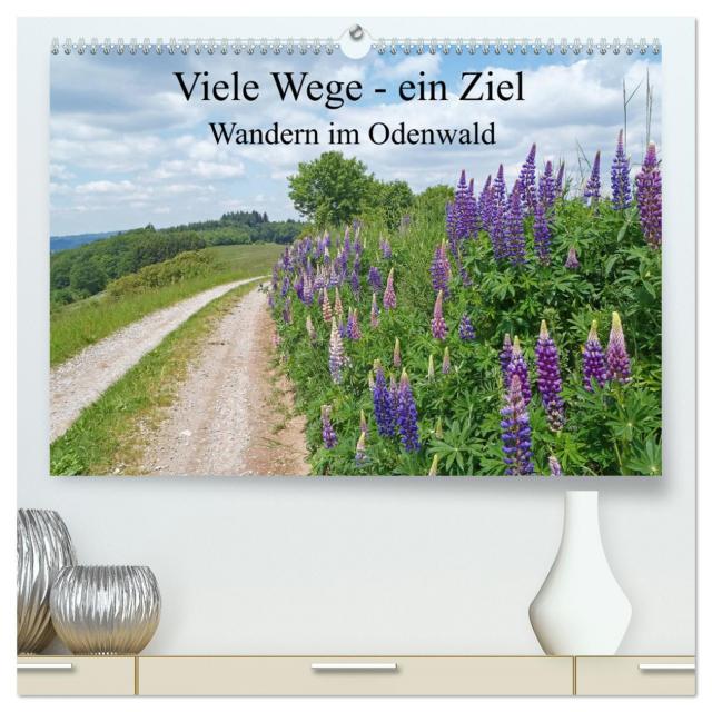 Viele Wege - ein Ziel Wandern im Odenwald (hochwertiger Premium Wandkalender 2025 DIN A2 quer), Kunstdruck in Hochglanz