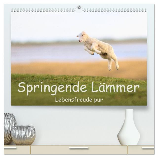 Springende Lämmer: Lebensfreude pur (hochwertiger Premium Wandkalender 2025 DIN A2 quer), Kunstdruck in Hochglanz