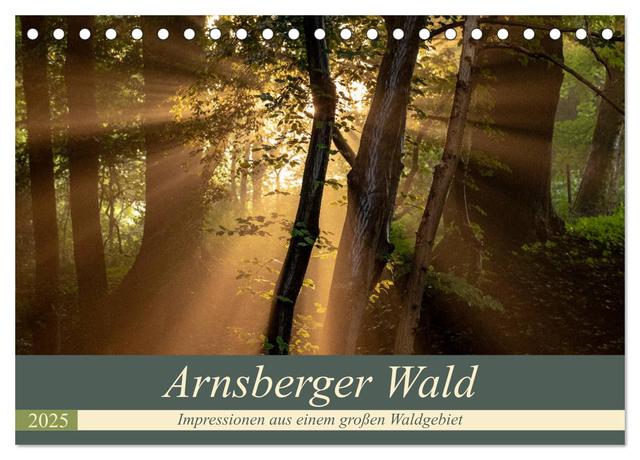 Arnsberger Wald (Tischkalender 2025 DIN A5 quer), CALVENDO Monatskalender
