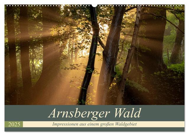 Arnsberger Wald (Wandkalender 2025 DIN A2 quer), CALVENDO Monatskalender