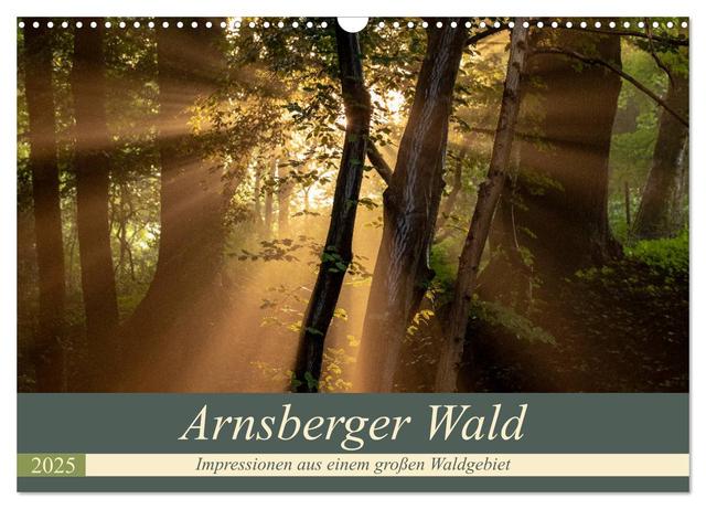 Arnsberger Wald (Wandkalender 2025 DIN A3 quer), CALVENDO Monatskalender