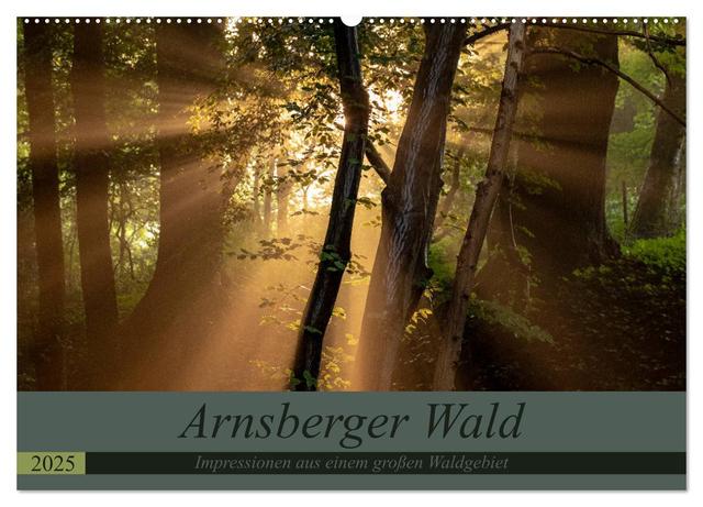 Arnsberger Wald (Wandkalender 2025 DIN A2 quer), CALVENDO Monatskalender