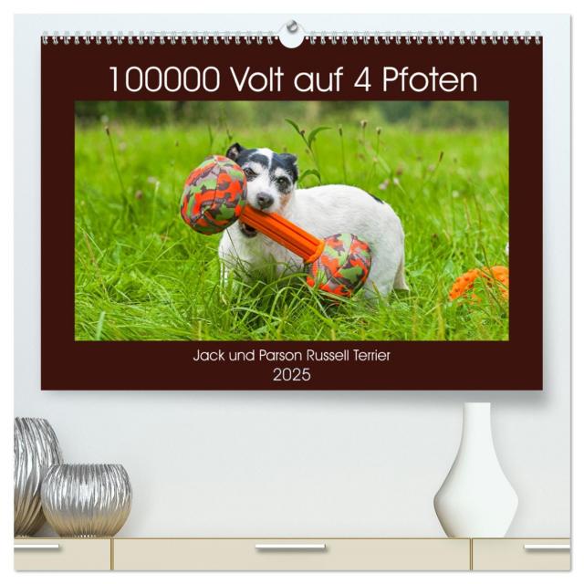 100000 Volt auf vier Pfoten - Jack und Parson Russell Terrier (hochwertiger Premium Wandkalender 2025 DIN A2 quer), Kunstdruck in Hochglanz