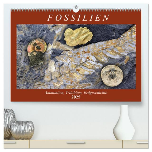 Fossilien - Ammoniten, Trilobiten, Erdgeschichte (hochwertiger Premium Wandkalender 2025 DIN A2 quer), Kunstdruck in Hochglanz