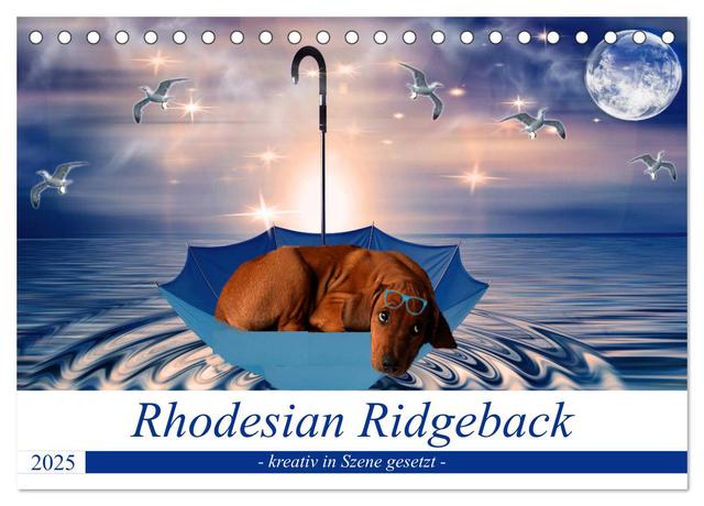 Rhodesian Ridgeback - kreativ in Szene gesetzt - (Tischkalender 2025 DIN A5 quer), CALVENDO Monatskalender