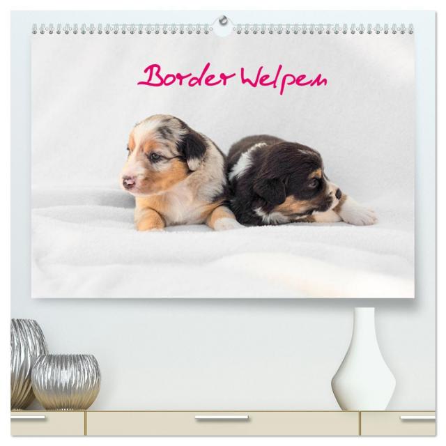 Border Welpen (hochwertiger Premium Wandkalender 2025 DIN A2 quer), Kunstdruck in Hochglanz