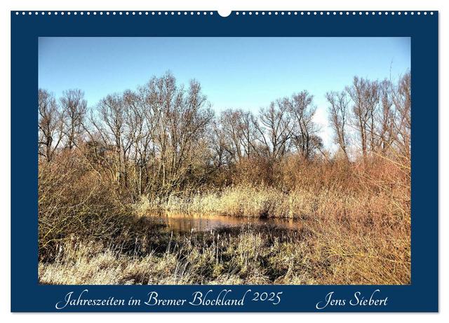 Jahreszeiten im Bremer Blockland (Wandkalender 2025 DIN A2 quer), CALVENDO Monatskalender