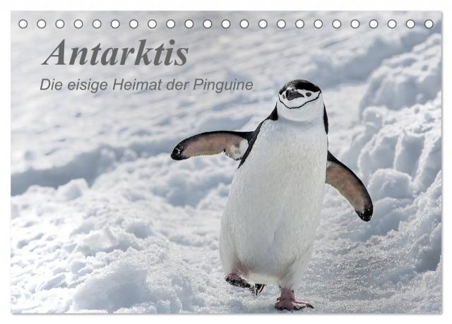 Antarktis, die eisige Heimat der Pinguine (Tischkalender 2025 DIN A5 quer), CALVENDO Monatskalender