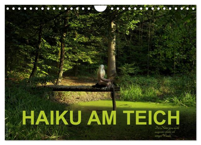HAIKU AM TEICH (Wandkalender 2025 DIN A4 quer), CALVENDO Monatskalender