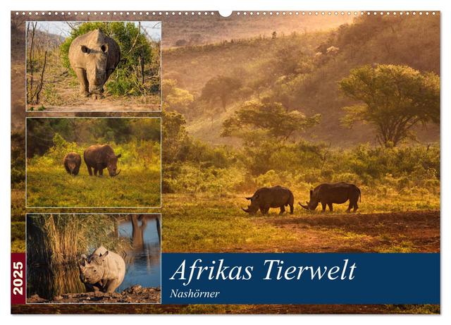 Afrikas Tierwelt: Nashörner (Wandkalender 2025 DIN A2 quer), CALVENDO Monatskalender