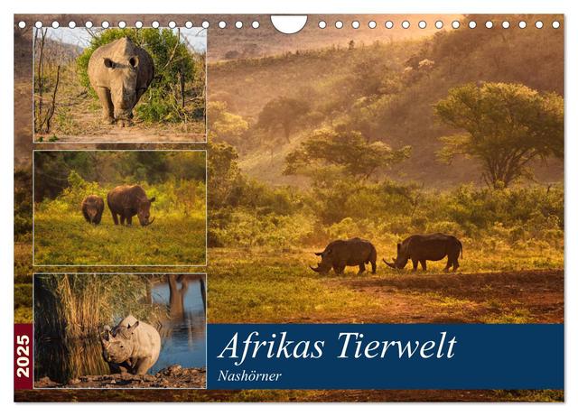 Afrikas Tierwelt: Nashörner (Wandkalender 2025 DIN A4 quer), CALVENDO Monatskalender