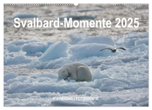 Svalbard-Momente (Wandkalender 2025 DIN A2 quer), CALVENDO Monatskalender