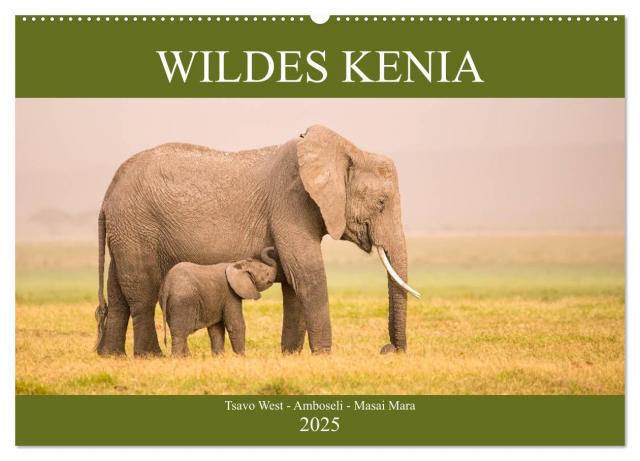 Wildes Kenia (Wandkalender 2025 DIN A2 quer), CALVENDO Monatskalender