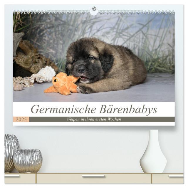 Germanische Bärenbabys (hochwertiger Premium Wandkalender 2025 DIN A2 quer), Kunstdruck in Hochglanz