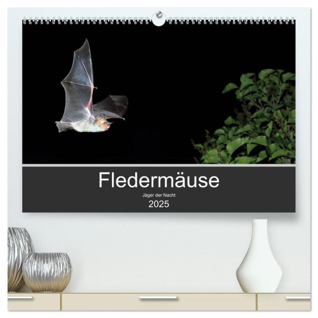 Fledermäuse - Jäger der Nacht (hochwertiger Premium Wandkalender 2025 DIN A2 quer), Kunstdruck in Hochglanz