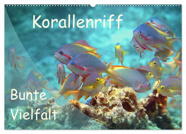Bunte Vielfalt im Korallenriff (Wandkalender 2025 DIN A2 quer), CALVENDO Monatskalender