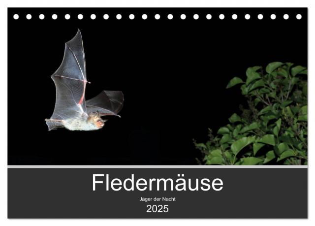 Fledermäuse - Jäger der Nacht (Tischkalender 2025 DIN A5 quer), CALVENDO Monatskalender
