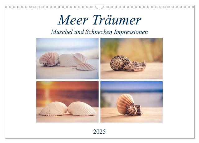 Meer Träumer - Muscheln und Schnecken Impressionen (Wandkalender 2025 DIN A3 quer), CALVENDO Monatskalender