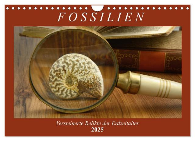 Fossilien - Versteinerte Relikte der Erdzeitalter (Wandkalender 2025 DIN A4 quer), CALVENDO Monatskalender