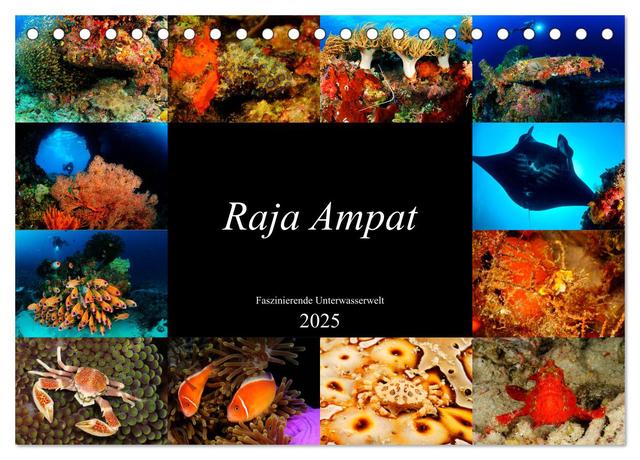 Raja Ampat - Faszinierende Unterwasserwelt (Tischkalender 2025 DIN A5 quer), CALVENDO Monatskalender