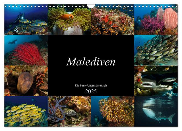 Malediven - Die bunte Unterwasserwelt (Wandkalender 2025 DIN A3 quer), CALVENDO Monatskalender