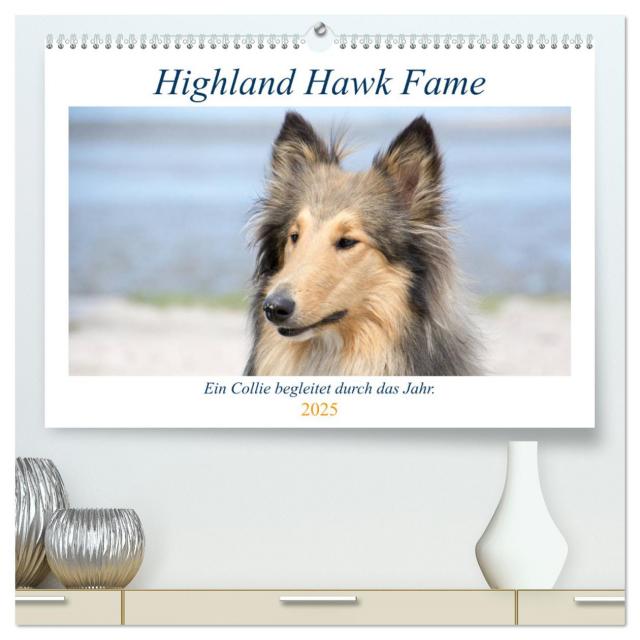 Highland Hawk Fame - Ein Collie begleitet durch das Jahr (hochwertiger Premium Wandkalender 2025 DIN A2 quer), Kunstdruck in Hochglanz
